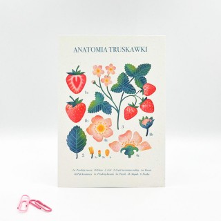 Miniplakat Anatomia truskawki