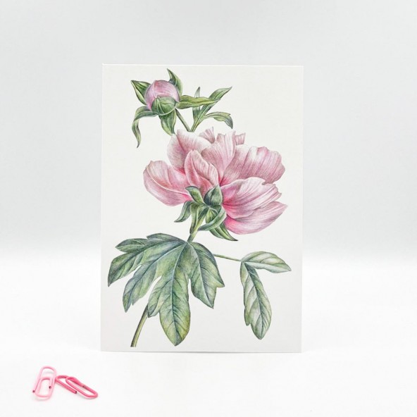 Mini Poster Peony Retro
