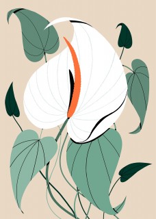 Plakat Anturium