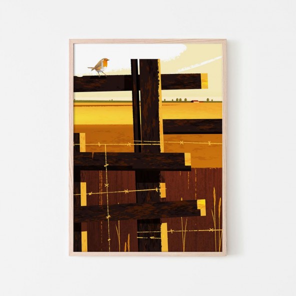 European Robin Poster