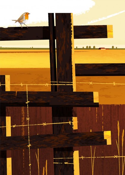 European Robin Poster