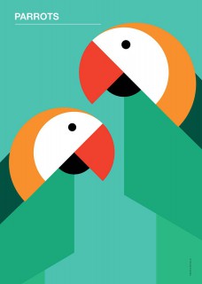 Parrots
