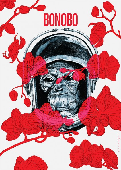 Plakat Bonobo Plakat Bonobo