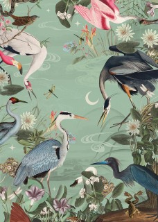 Birds Poster