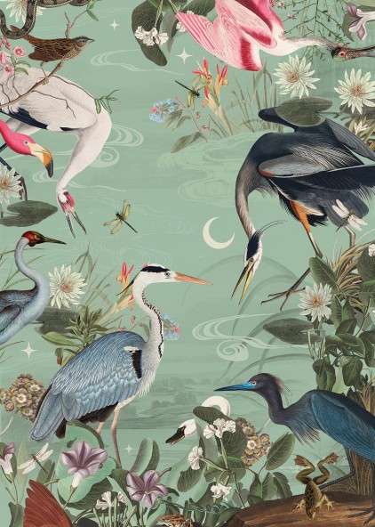 Plakat Birds Plakat Birds