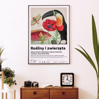 Plakat Rośliny i zwierzęta I 2