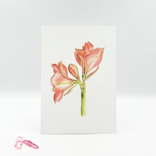 Set of postcards Flowers 2