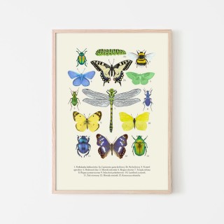 Plakat Owady 2