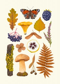 Indian summer Poster