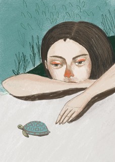 Plakat HelloTurtle