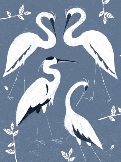 Plakat Czaple