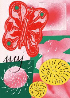 Butterfly Poster