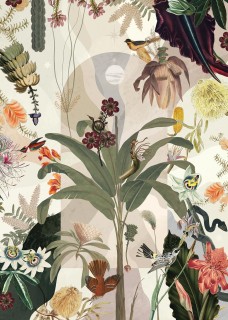 Plakat Tropics