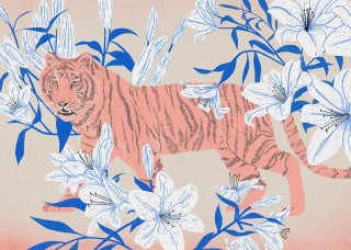 Tiger Lilly Poster