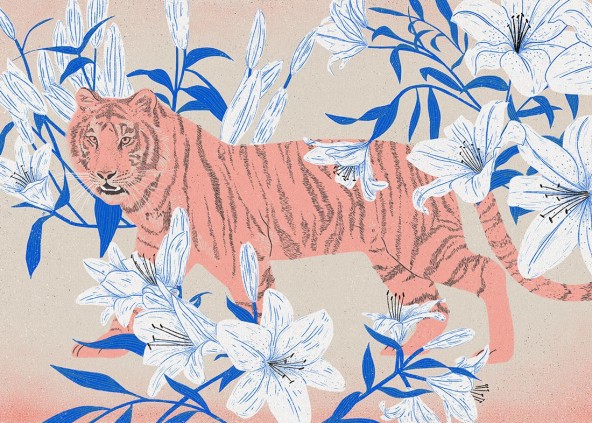 Tiger Lilly Poster Tiger Lilly Poster