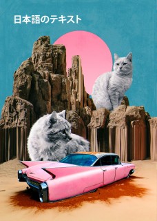 Desert Illusion Poster