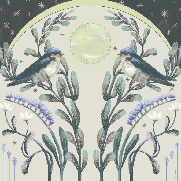 Swallows Poster Swallows Poster