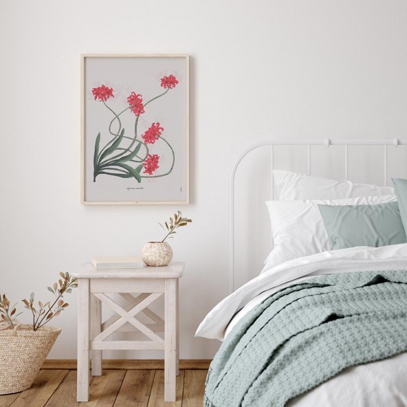 Red Lilia Poster Red Lilia Poster