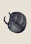 Plakat Armadillo Plakat Armadillo