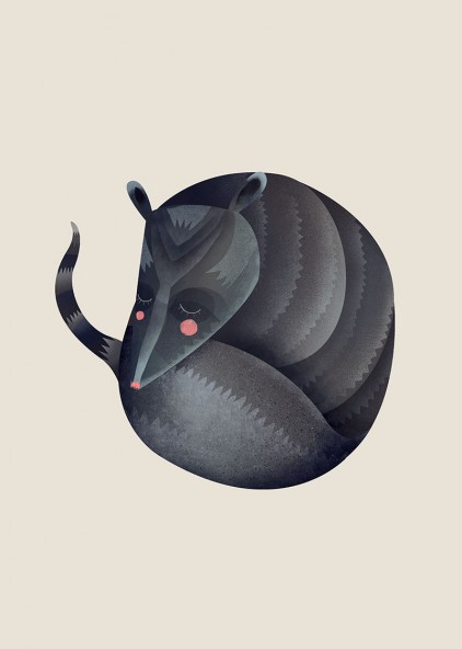 Plakat Armadillo Plakat Armadillo