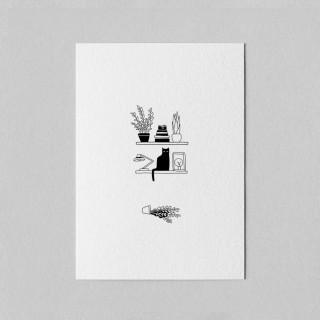 Mini Poster Jungle King