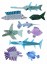 Flying Fish Poster Flying Fish Poster