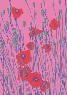 Poppies Poster
