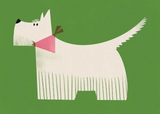 Schnauzer Poster
