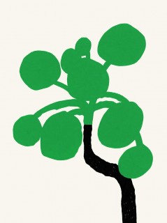 Pilea Poster