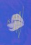 Plakat Into The Deep Plakat Into The Deep