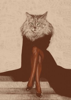 Cat Poster