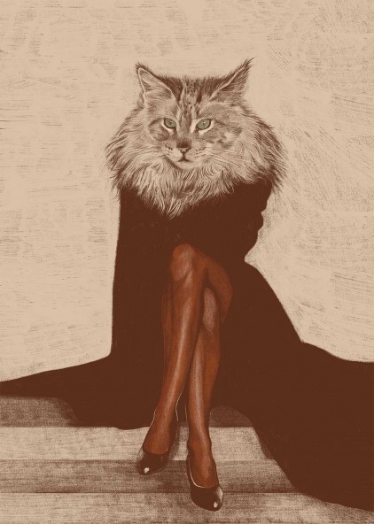 Cat Poster Cat Poster