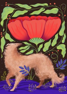 Plakat Land of Wonder