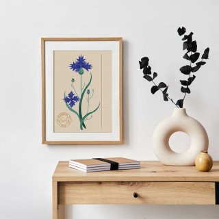 Plakat Chaber 2