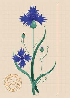 Plakat Chaber