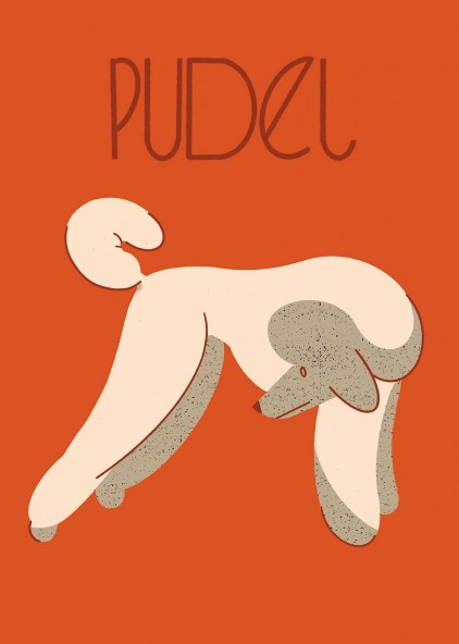 Plakat Poodle
