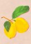 Lemons Poster Lemons Poster