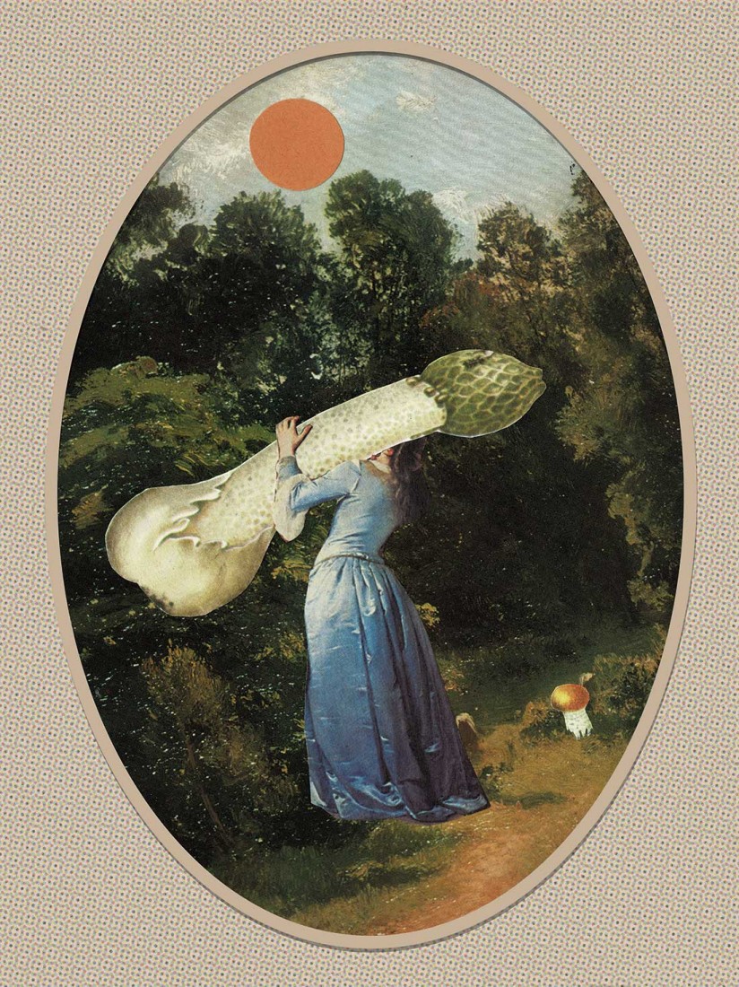 Mushroom Picking Poster Mushroom Picking Poster