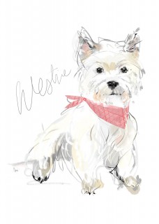 Plakat Westie