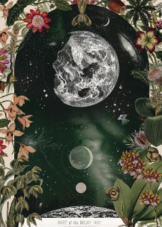 Cosmic bloom Poster