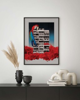 Plakat Papuga z betonem 2