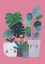 Plants Plants