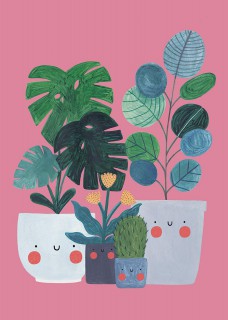 Plants