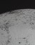 Grafika Moon Grafika Moon