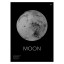 Grafika Moon Grafika Moon