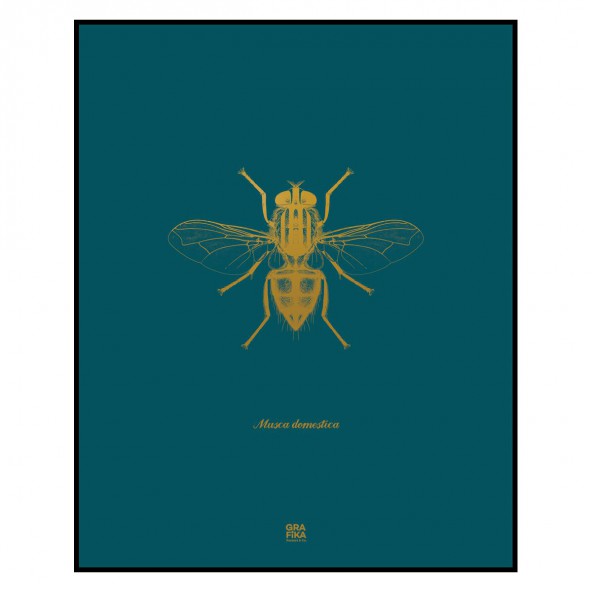 Grafika Mucha / turkus