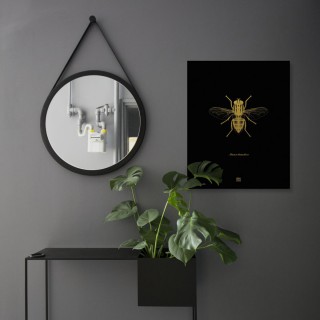 Grafika Mucha / czarny 2