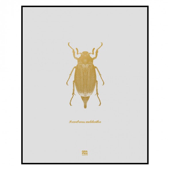 Grafika Chrząszcz / kremowy