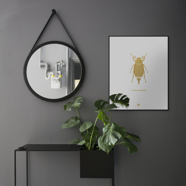 Grafika Chrząszcz / kremowy