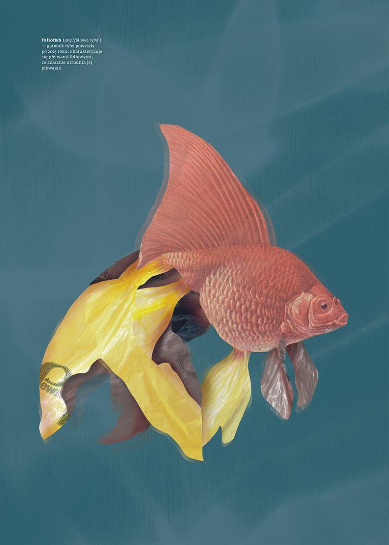 Plakat FolioFish
